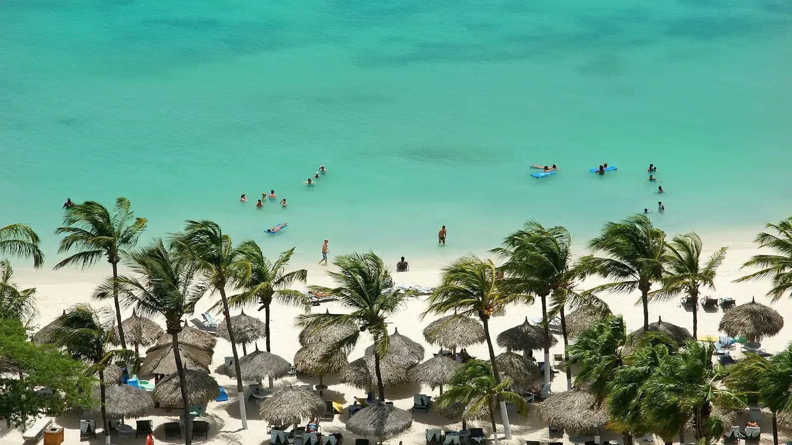 Aerial view of beachgoers wading in Aruba's turquoise water