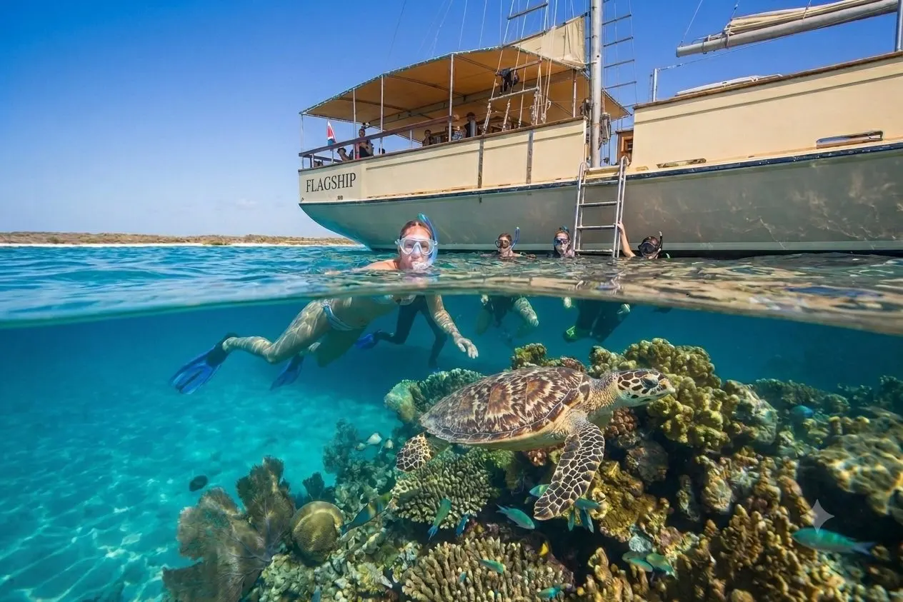 Guests snorkeling alongside a sea turtle near the boat
